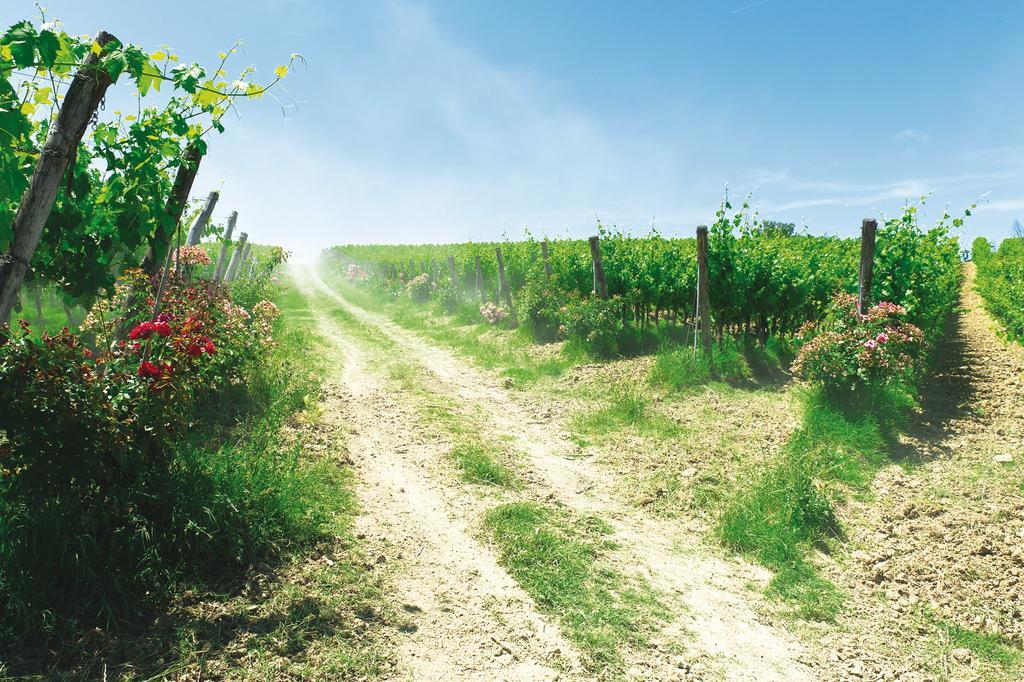 Roccafiore Wine Resort & Spa 토티 외부 사진