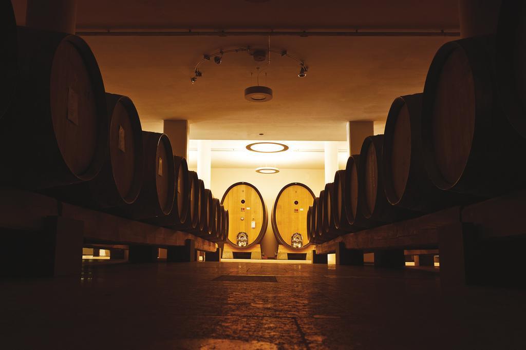 Roccafiore Wine Resort & Spa 토티 외부 사진