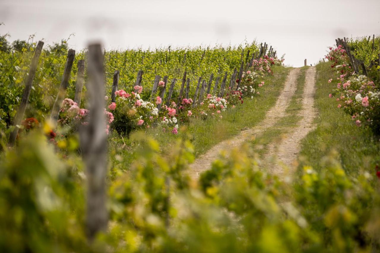 Roccafiore Wine Resort & Spa 토티 외부 사진