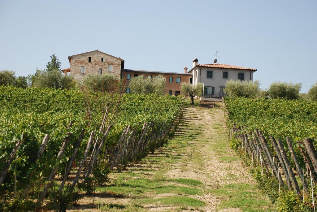 Roccafiore Wine Resort & Spa 토티 외부 사진